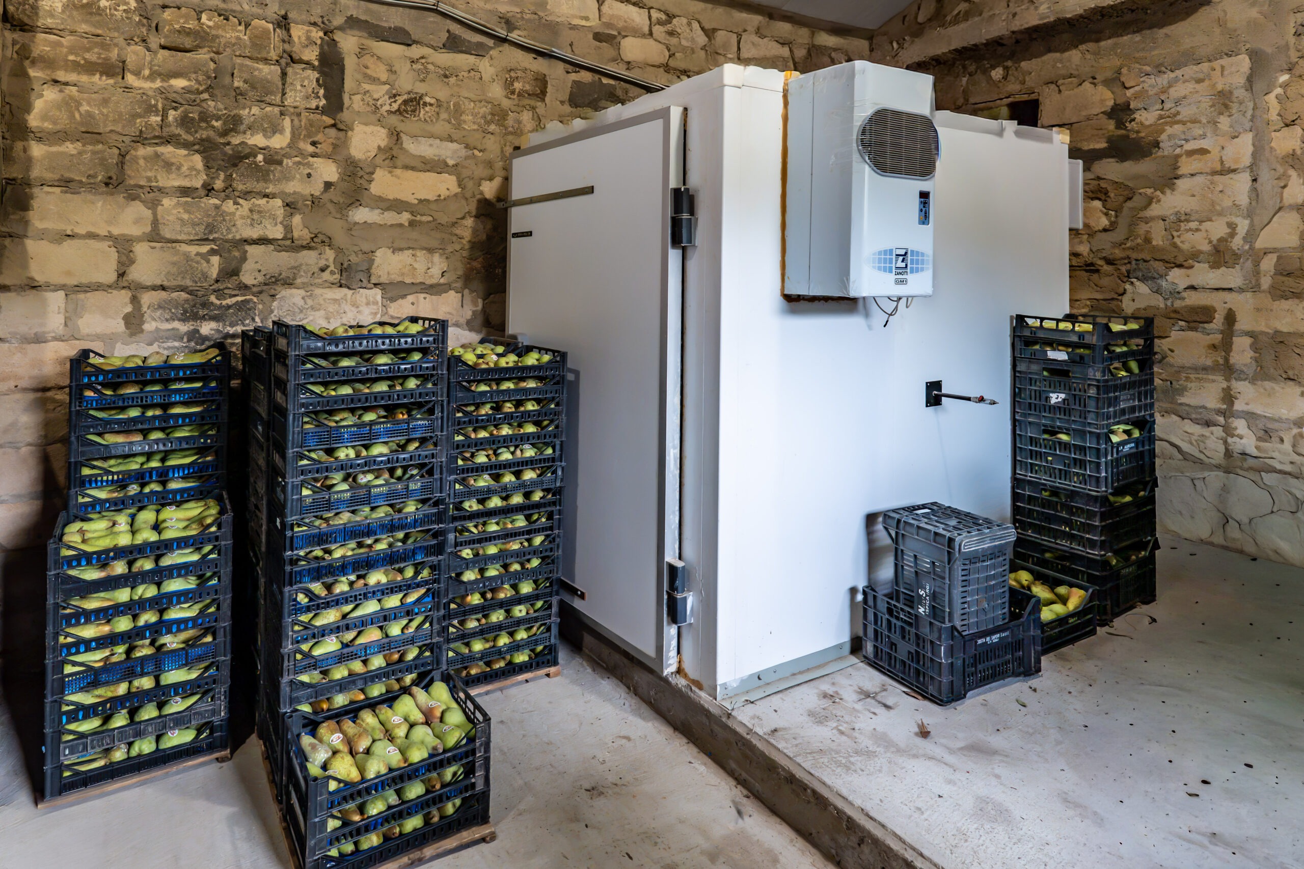 Azienda agricola Miraglia- Cella 1