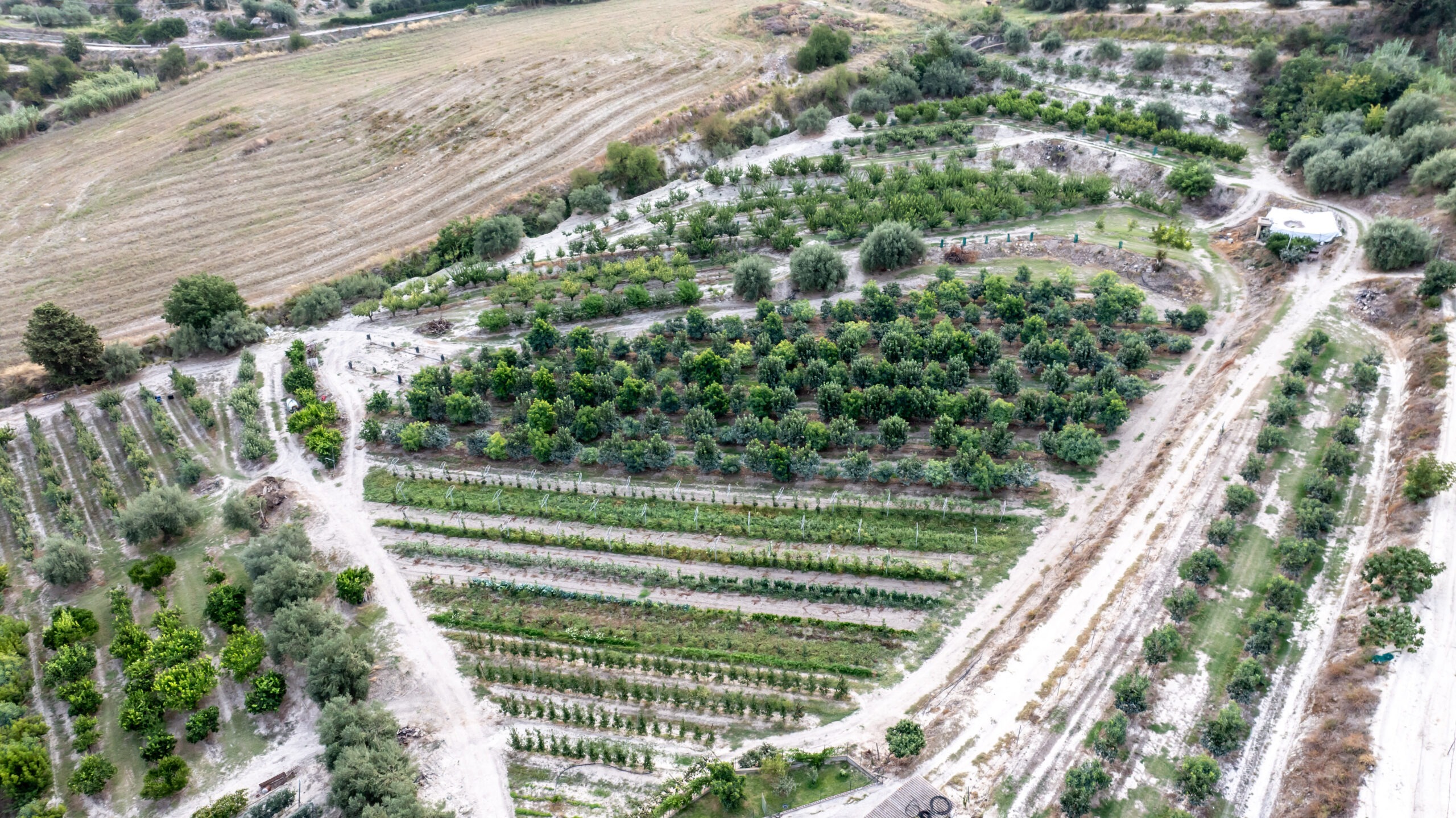 Azienda agricola Miraglia-Panoramico 3