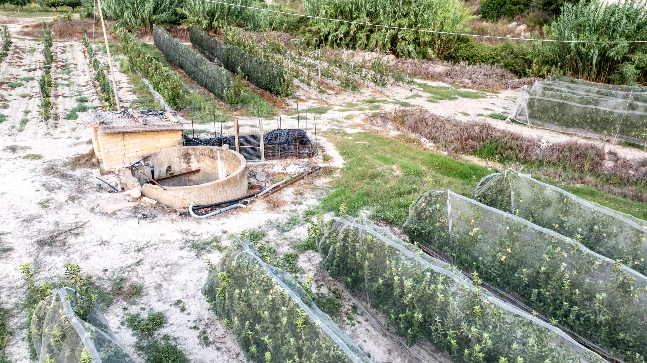 Azienda agricola Miraglia panoramico 2
