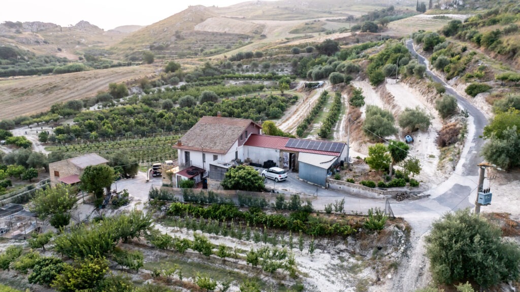 Azienda agricola Miraglia