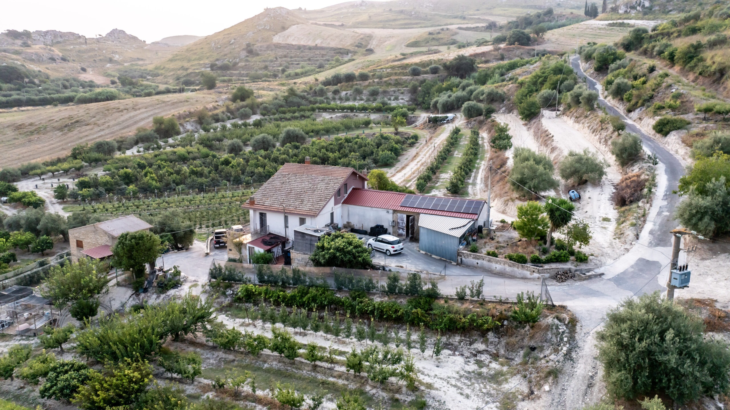 Azienda agricola Miraglia
